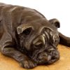 Kunst & Ambiente Britische Bulldogge In Bronze Auf Gelbem Natursteinsockel Online