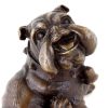 Kunst & Ambiente Tierbronze - Kratzende Englische Bulldogge - Wiener Bronze New